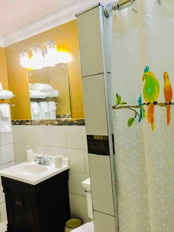 Bella Vista Villa Kingston Kültér fotó