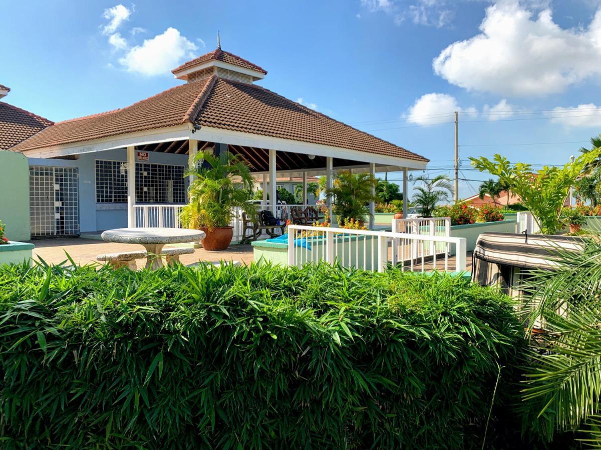 Bella Vista Villa Kingston Kültér fotó